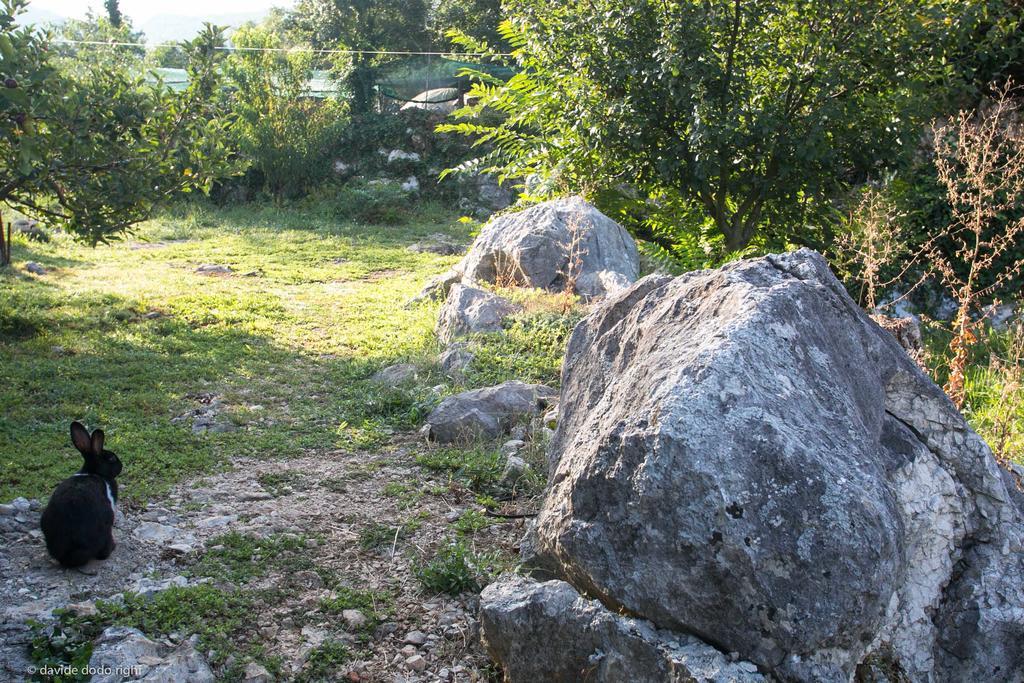 Agrotourism Matusko Guest House Neum Exterior photo